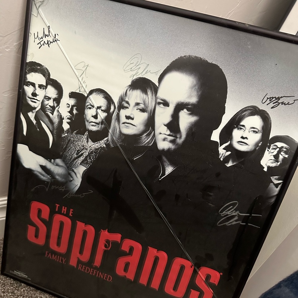 16 X 20 framed Autographed SOPRANOS pictures 
With Authentication certificate